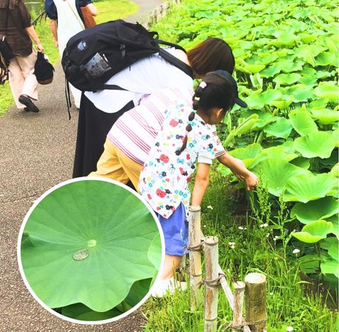 身近なちょっとしたことを集めて楽しむイメージ