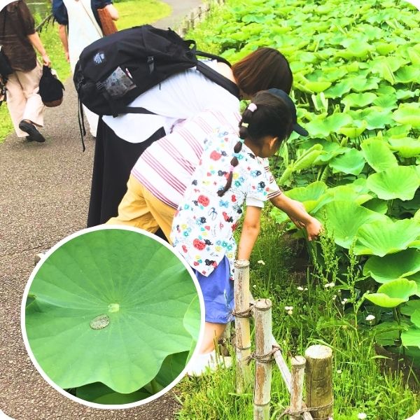 「好奇心のフタをひらく」イメージ