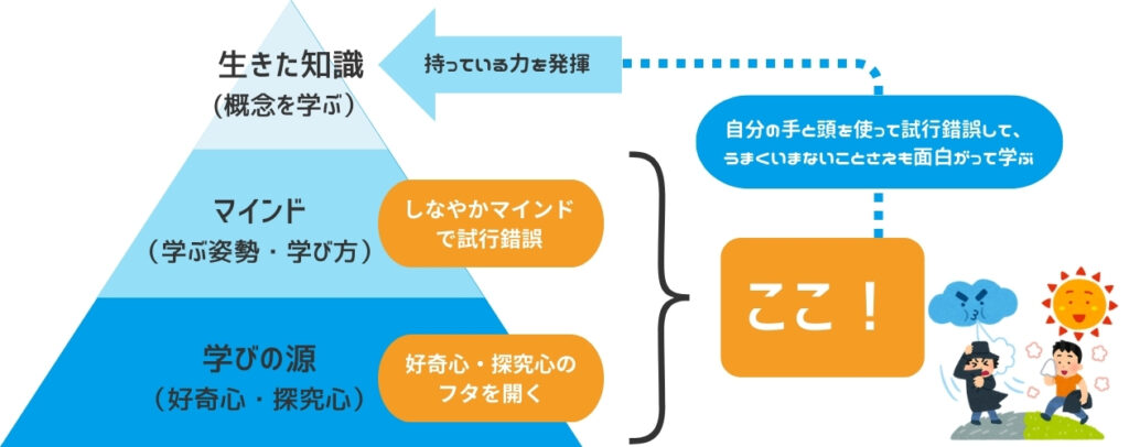 初期学習者がゆうせんして身につけるべきものの図