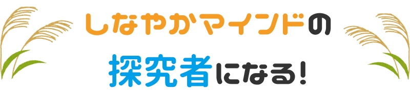 しなやかマインドの探究者になる！